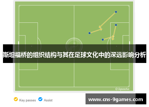 斯坦福桥的组织结构与其在足球文化中的深远影响分析