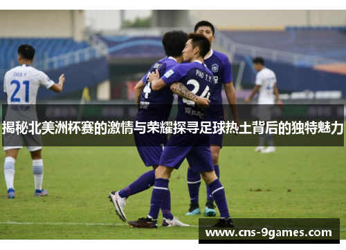 揭秘北美洲杯赛的激情与荣耀探寻足球热土背后的独特魅力